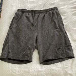 Alphalete gray shorts